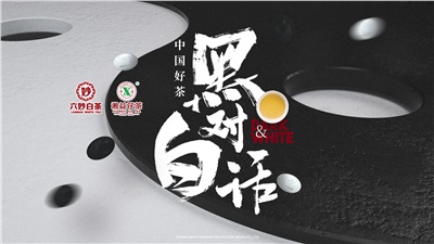 首屆黑白對(duì)話高峰論壇圓滿落幕！湘益茯茶備受關(guān)注！